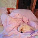 ���� �����, ������, 42 ���� - ��������� 7 ������� 2019 � ������ ���� ����������