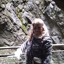 �������..... �� ������� ���� ����������