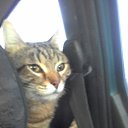 ���� �����, �������� - ��������� 4 ������� 2019 � ������ ���� ����������