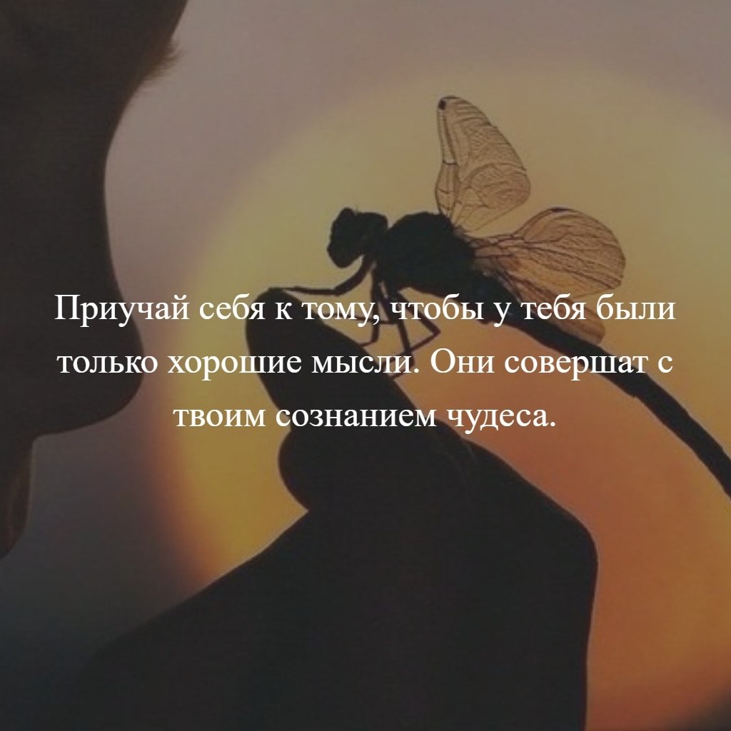 Кто научил тебя видеть ночью. Приучай себя к тому чтобы у тебя были только хорошие мысли они. Только хорошие мысли. Приучай себя к хорошим мыслям. Приучай себя только к хорошим мыслям.