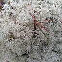 ���� Jurij, ����, 47 ��� - ��������� 5 ������� 2018 � ������ ������ ��������