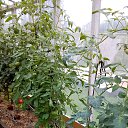 ���� ���������, ������ - ��������� 24 ������� 2018 � ������ ���� ����������