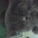 ���� ������, ���������, 65 ��� - ��������� 10 ������� 2018 � ������ ���� ����������