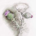 ���� Nick, �����������, 50 ��� - ��������� 28 ������� 2019 � ������ ������ ��������