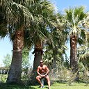 ���� ����, ���������� ����� - ��������� 9 �������� 2018 � ������ ���� ����������
