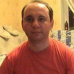 �������, ������, 54 ����