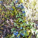 ���� Nicolas, ����� - ��������� 14 ������� 2018 � ������ �Iceland�