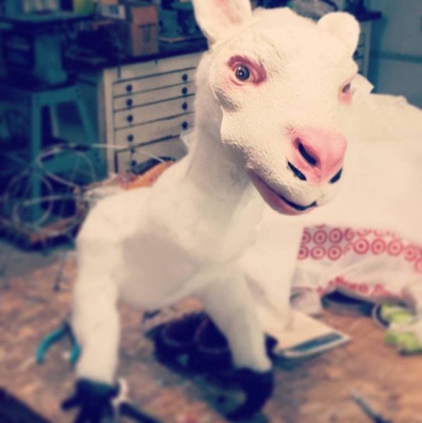 ���� ��� ������� �� �������� - 2