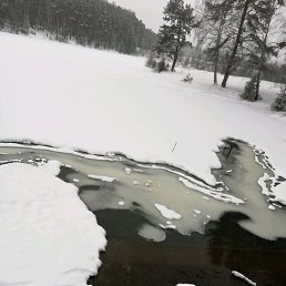 ���� ������, ������������, 43 ���� - ��������� 22 ������ 2019