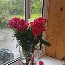 ���� �������, ������������, 59 ��� - ��������� 1 ������� 2019 � ������ ���� ����������
