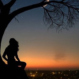 �����, ��������, 36 ���