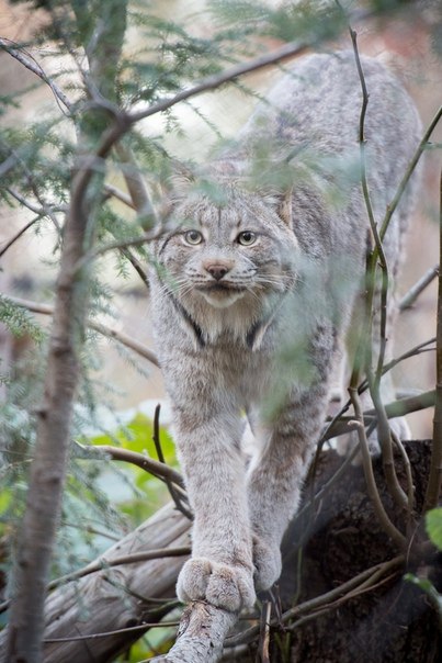 ~**~ - 22  2019  11:51