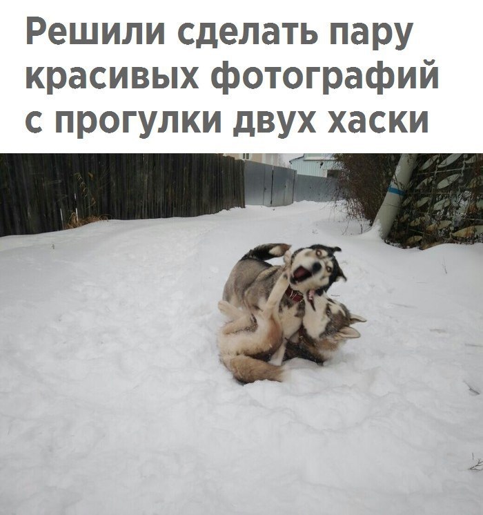   - 16  2018  16:58