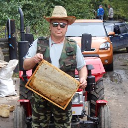 ���������, ������, 57 ���