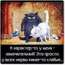 ���� �0, �����-���������, 64 ���� - ��������� 23 ����� 2019 � ������ ���� ����������