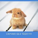 ���� ������, ������-��-����, 45 ��� - ��������� 7 ������ 2018 � ������ ���� ����������