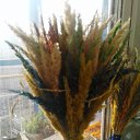 ���� ������ �������, ����������, 53 ���� - ��������� 10 ������ 2018 � ������ ���� ����������