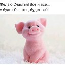 ���� ������, ������, 37 ��� - ��������� 3 ������ 2019
