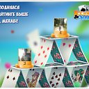 ���� �������, ��������, 57 ��� - ��������� 15 �������� 2018 � ������ �������� �������-�������