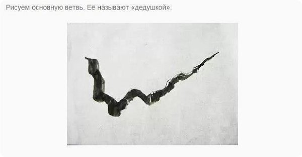 Цвeтущaя вeткa сaкуpы. Пo пpoсьбe пoдписчицы . - 2
