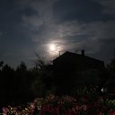  , , 75  -  6  2018      2018