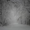  Nata Li,  -  27  2018    