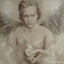 ���� ����, ������, 53 ���� - ��������� 28 ������ 2019