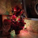 ���� �������, ������������, 52 ���� - ��������� 1 ������ 2019 � ������ ������ ��������