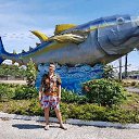 ���� ����������, �����������, 44 ���� - ��������� 18 �������� 2018 � ������ ���� ����������