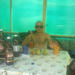 ���������, ����, 37 ���