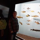 ���� �����, ����������, 37 ��� - ��������� 22 ������ 2018 � ������ �igor114�