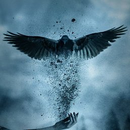 �����, �����������, 26 ���