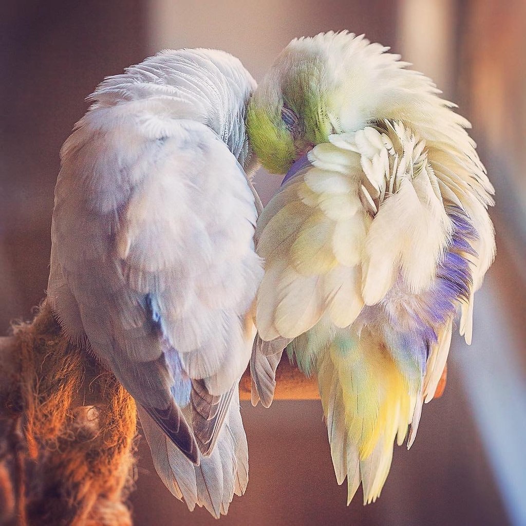 Eva & Luca - 2