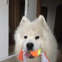 ���� �����, �����-���������, 50 ��� - ��������� 12 ������ 2019 � ������ ���� ����������