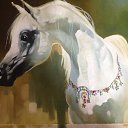 ���� Khussainart, ������, 48 ��� - ��������� 20 ������� 2018 � ������ ���� ����������