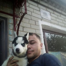 ����, ��������������, 37 ���