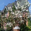 ���� ������, ������, 70 ��� - ��������� 10 �������� 2018 � ������ ���� ����������