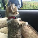 ���� ���, ������, 51 ��� - ��������� 15 ������ 2018 � ������ ���� ����������