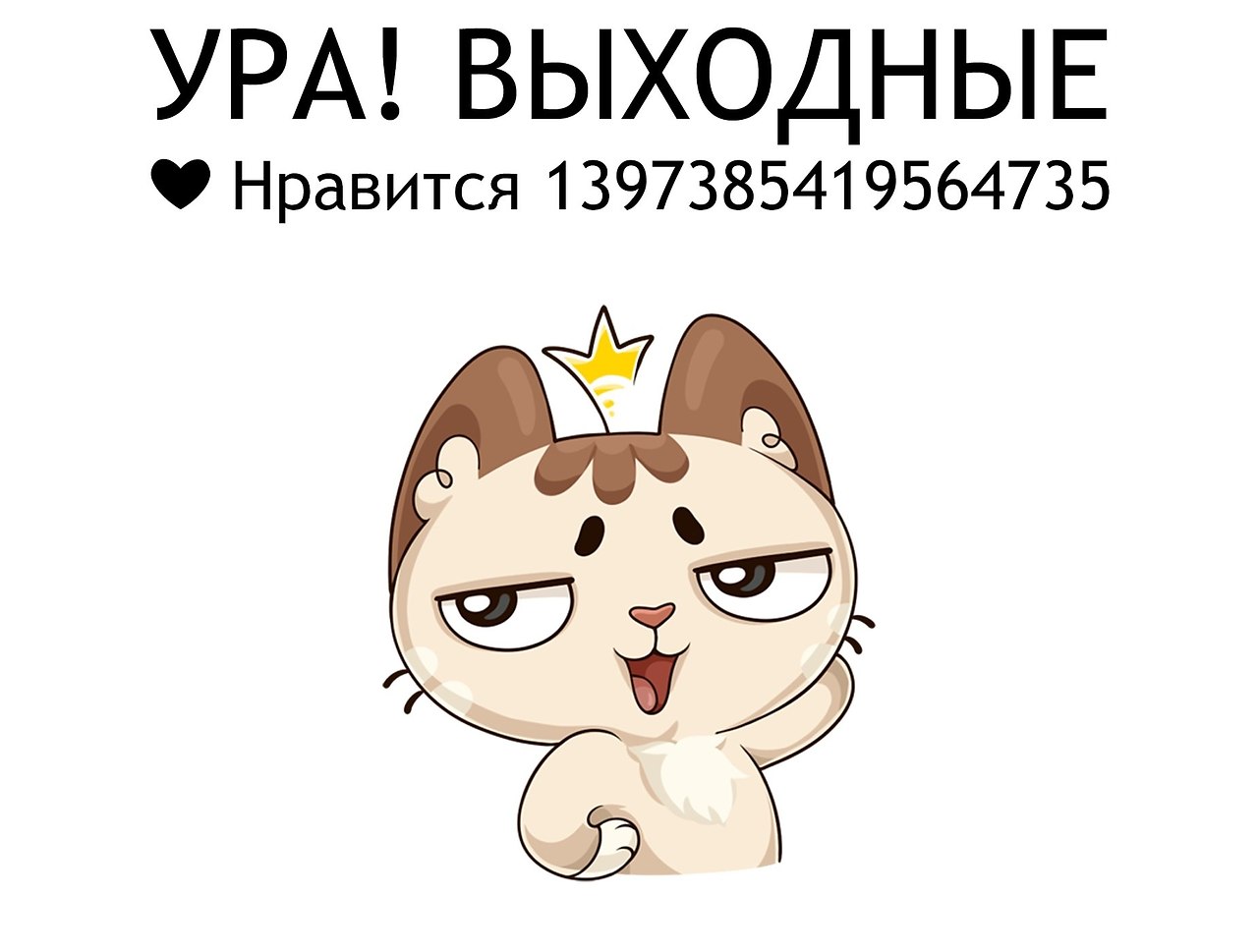   - 7  2019  16:42