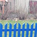 ���� ����, ���������, 40 ��� - ��������� 3 ������ 2019