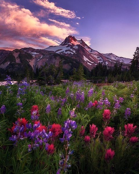        ,      ,     ... - 4