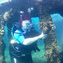 ���� ������, ������ - ��������� 26 ������� 2018 � ������ ��� �����������, ��������������/�������� 2017�