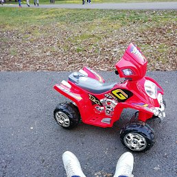 ���� ����, ����������� - ��������� 28 ������� 2018