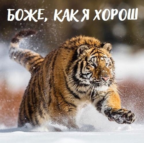  - 18  2018  16:51 - 4