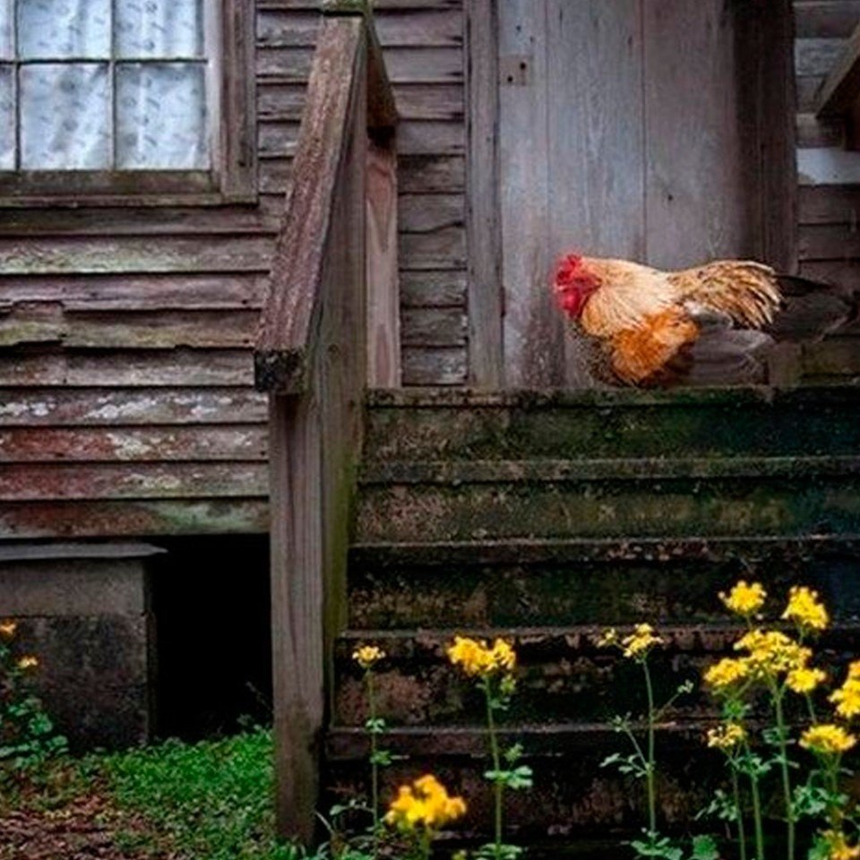  - 19  2018  16:22 - 4