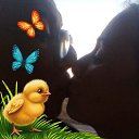 ���� ��������, �����������, 40 ��� - ��������� 30 ������ 2018