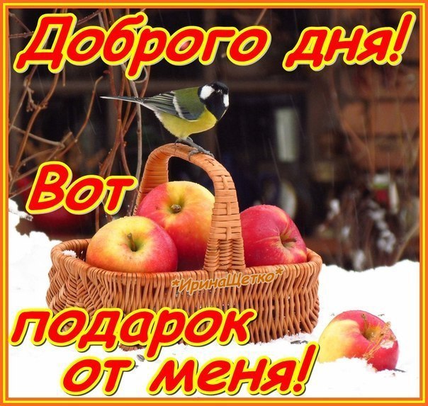   ,    . - 2  2019  14:03