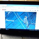 ���� ������, �������� - ��������� 25 ������� 2018 � ������ ���� ����������