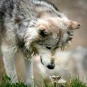 ���� ������, ����������� - ��������� 22 ������� 2018 � ������ ������ ��������