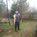  ,  , 67  -  29  2019    